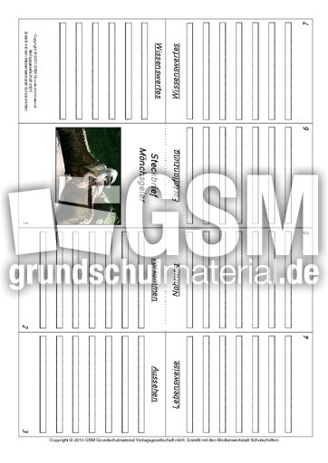 Faltbuch-Mönchsgeier.pdf
